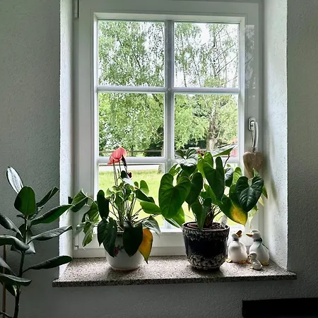 Hof Hummersen Apartment *