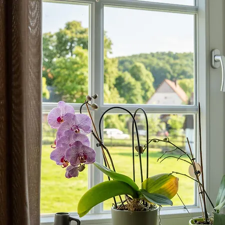 Lägenhet Hof Hummersen Lügde