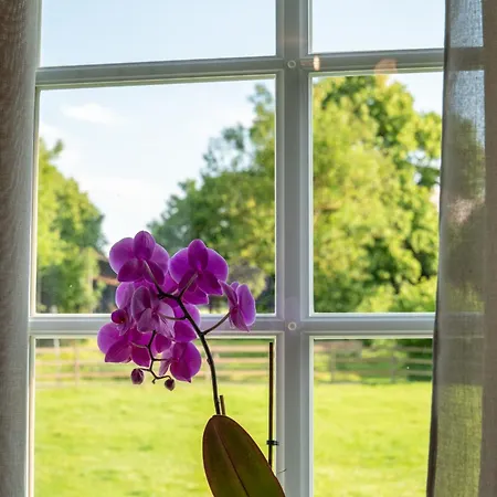 Lägenhet Hof Hummersen *