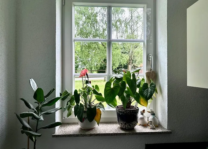 Hof Hummersen Apartmán *