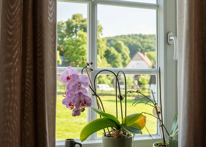 公寓 Hof Hummersen 吕格德