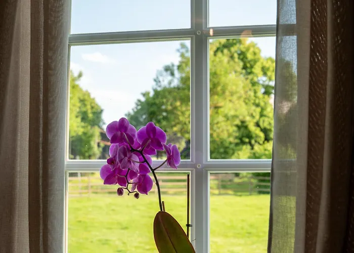 公寓 Hof Hummersen *